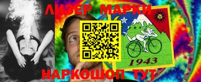крисы Гудермес