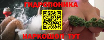 крисы Гудермес