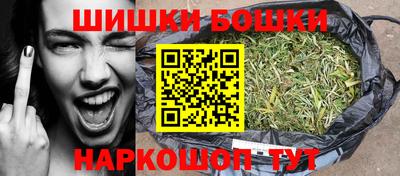 крисы Гудермес